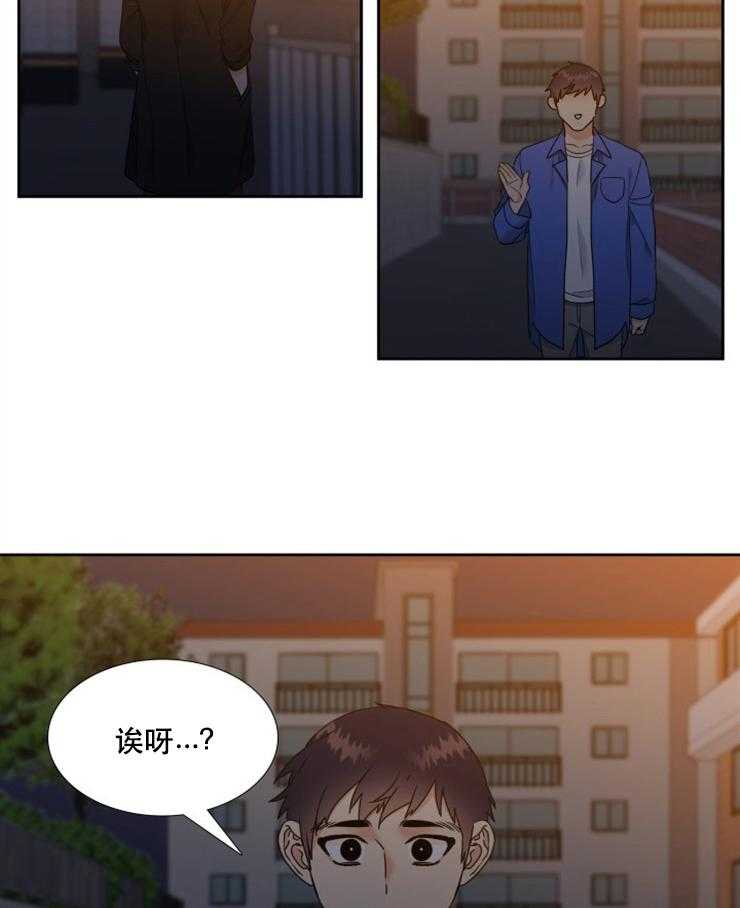 恋爱等级第50话图