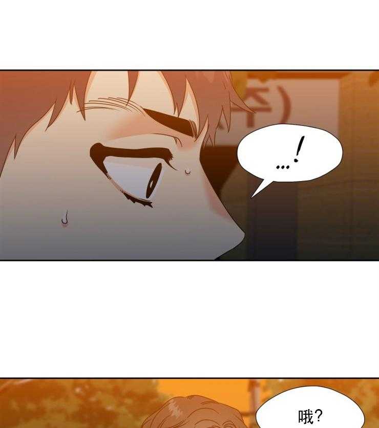 恋爱等级第55话图