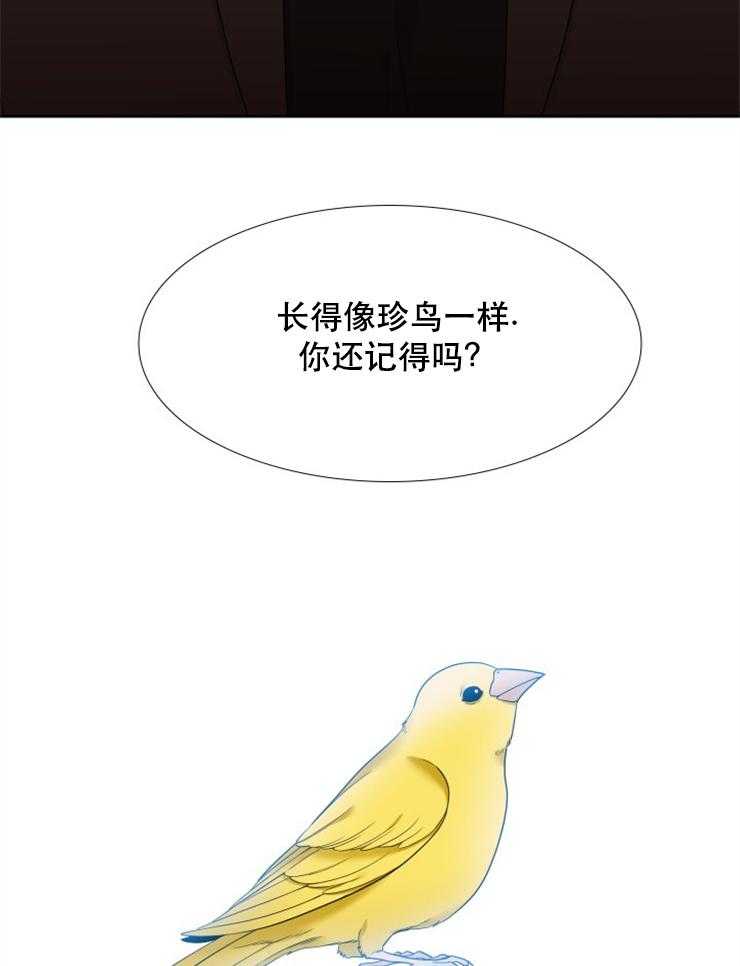 恋爱等级第66话图