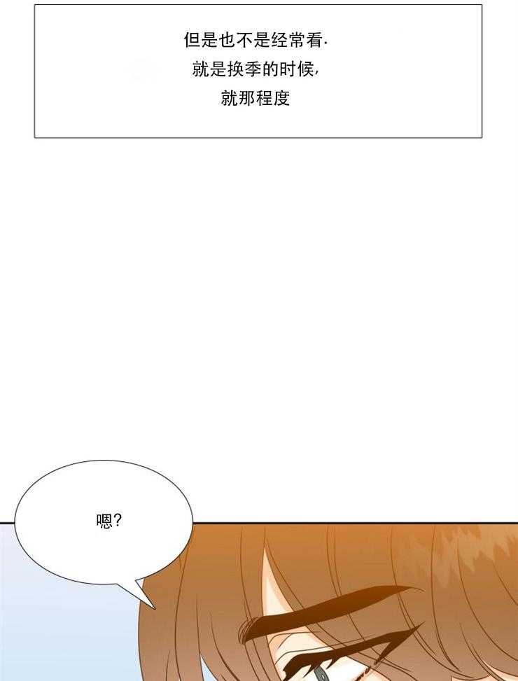 恋爱等级第74话图