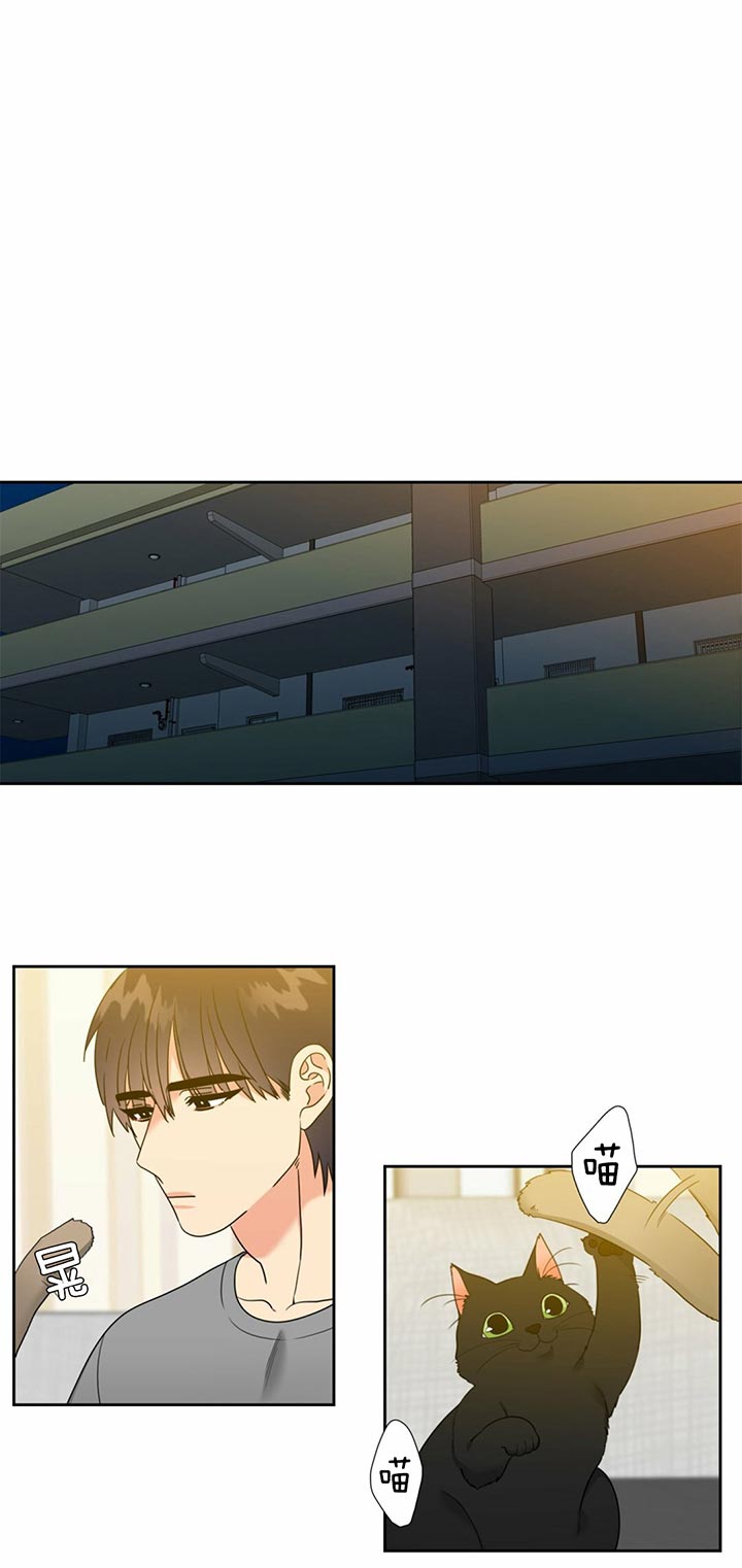 恋爱等级第95话图