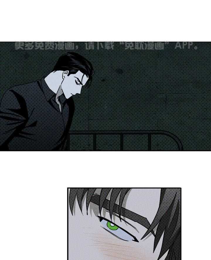 绿色镌像第36话图