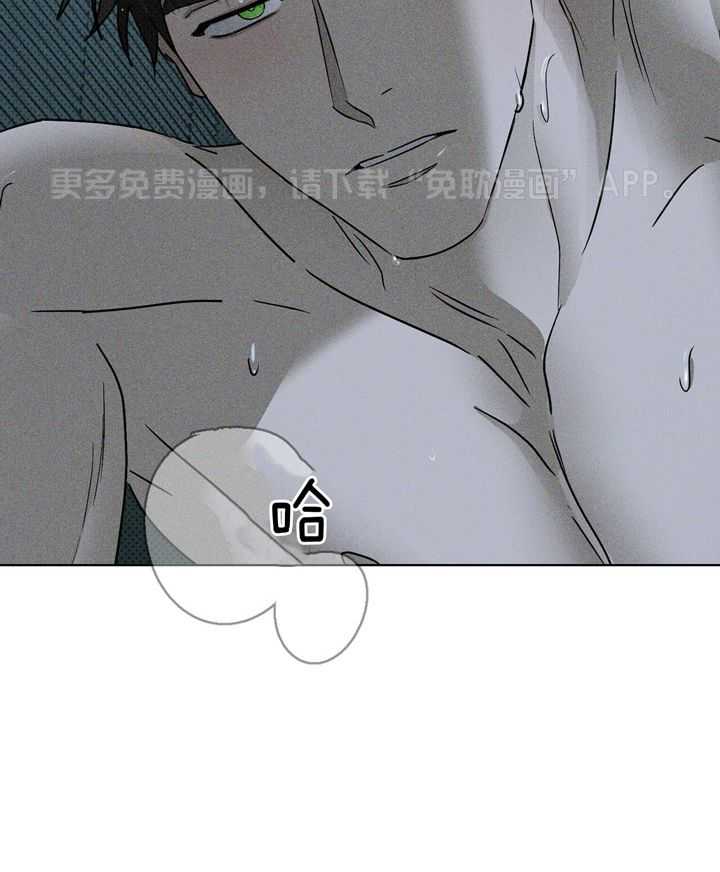 绿色镌像第37话图
