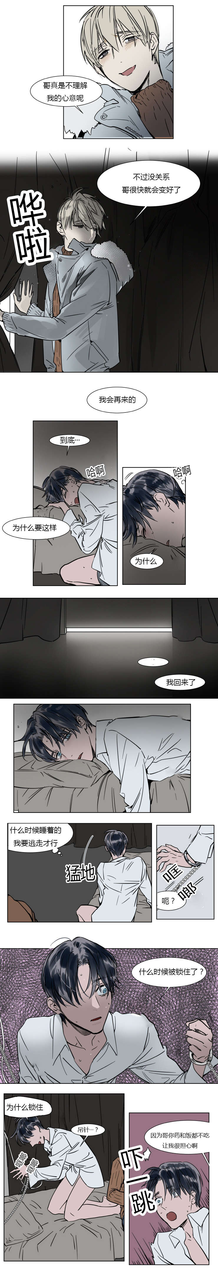 陆秘书第19话图