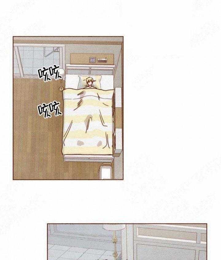 老师，请给我奖励第35话图