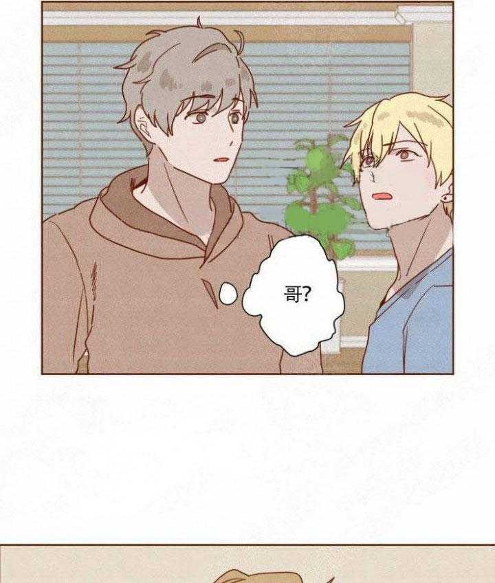 老师，请给我奖励第43话图