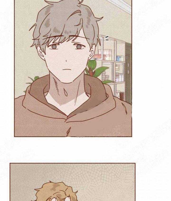 老师，请给我奖励第43话图