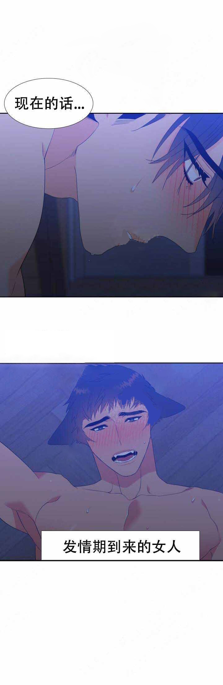 狼的香气第161话图