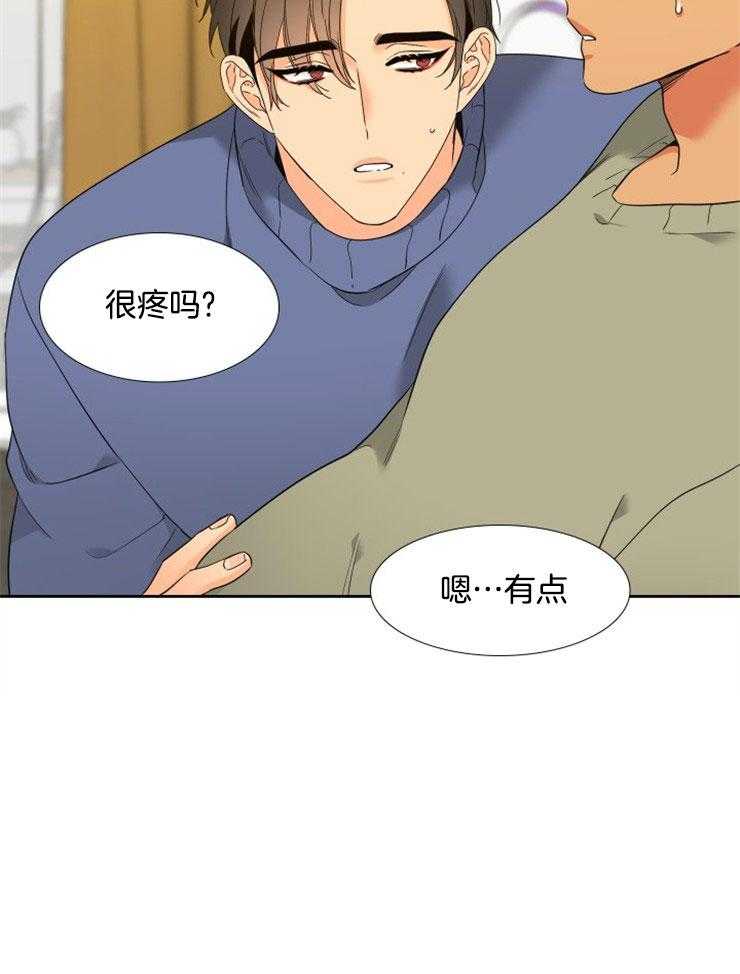 狼的香气第195话图