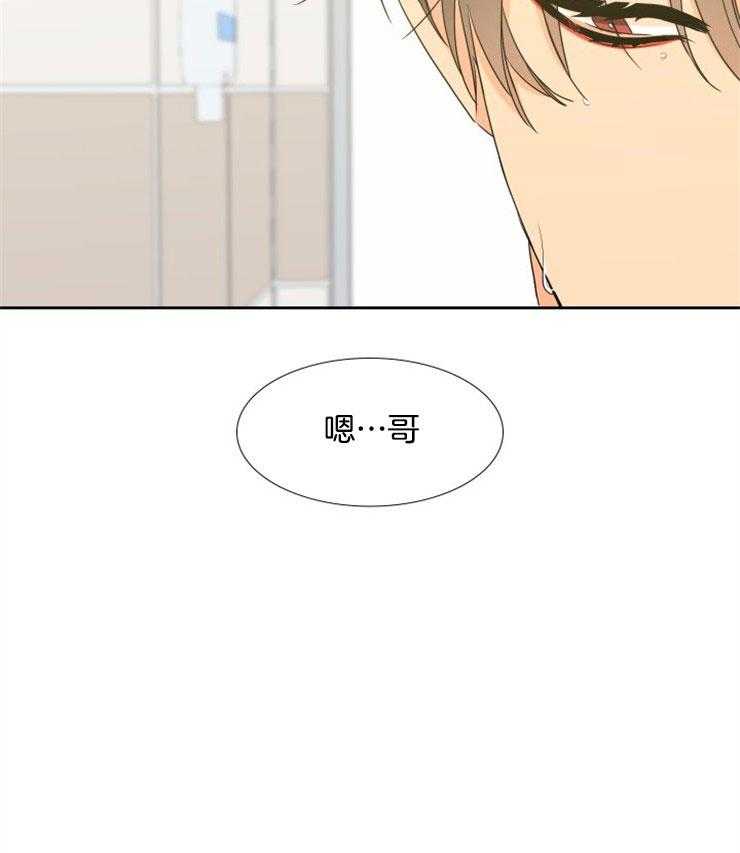 狼的香气第199话图