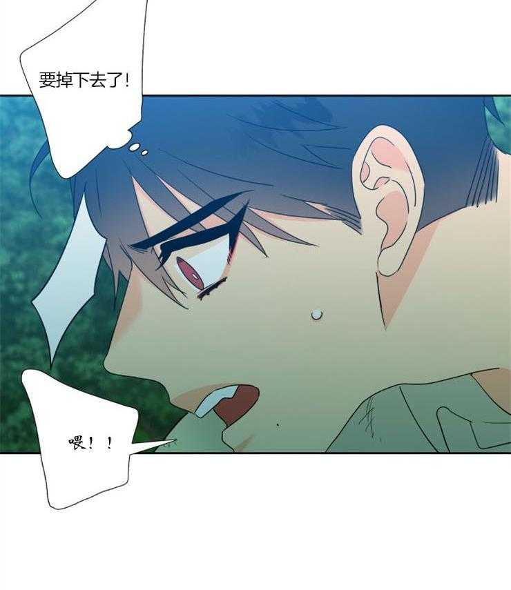 狼的香气第202话图