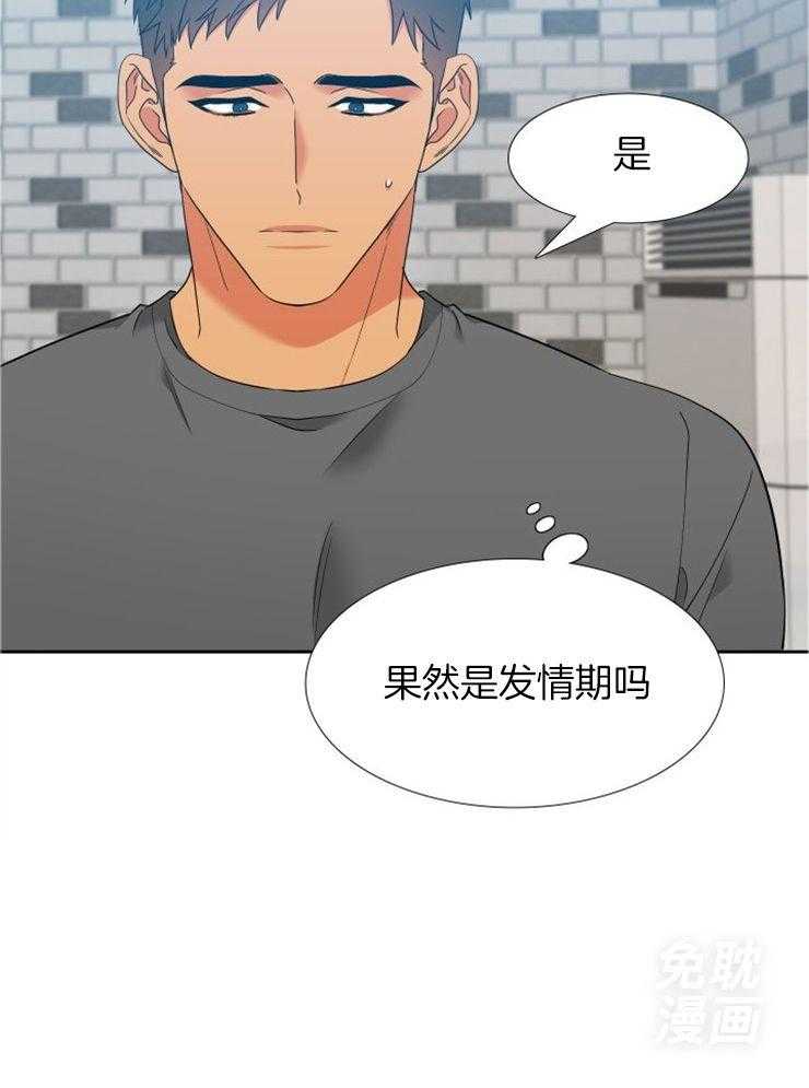 狼的香气第216话图