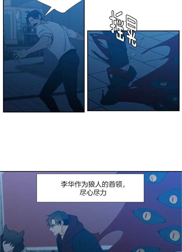 狼的香气第243话图