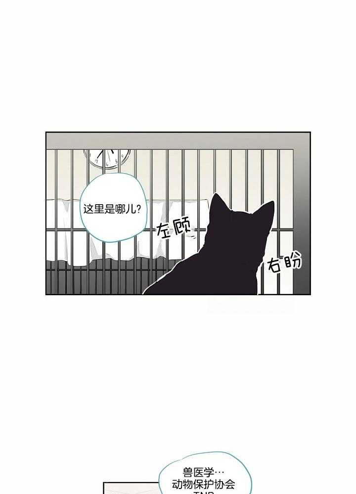 恋人未满的诅咒 第5话 第4页