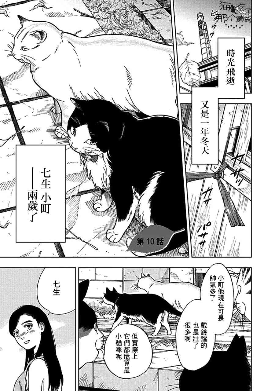 流浪猫的一生10话图