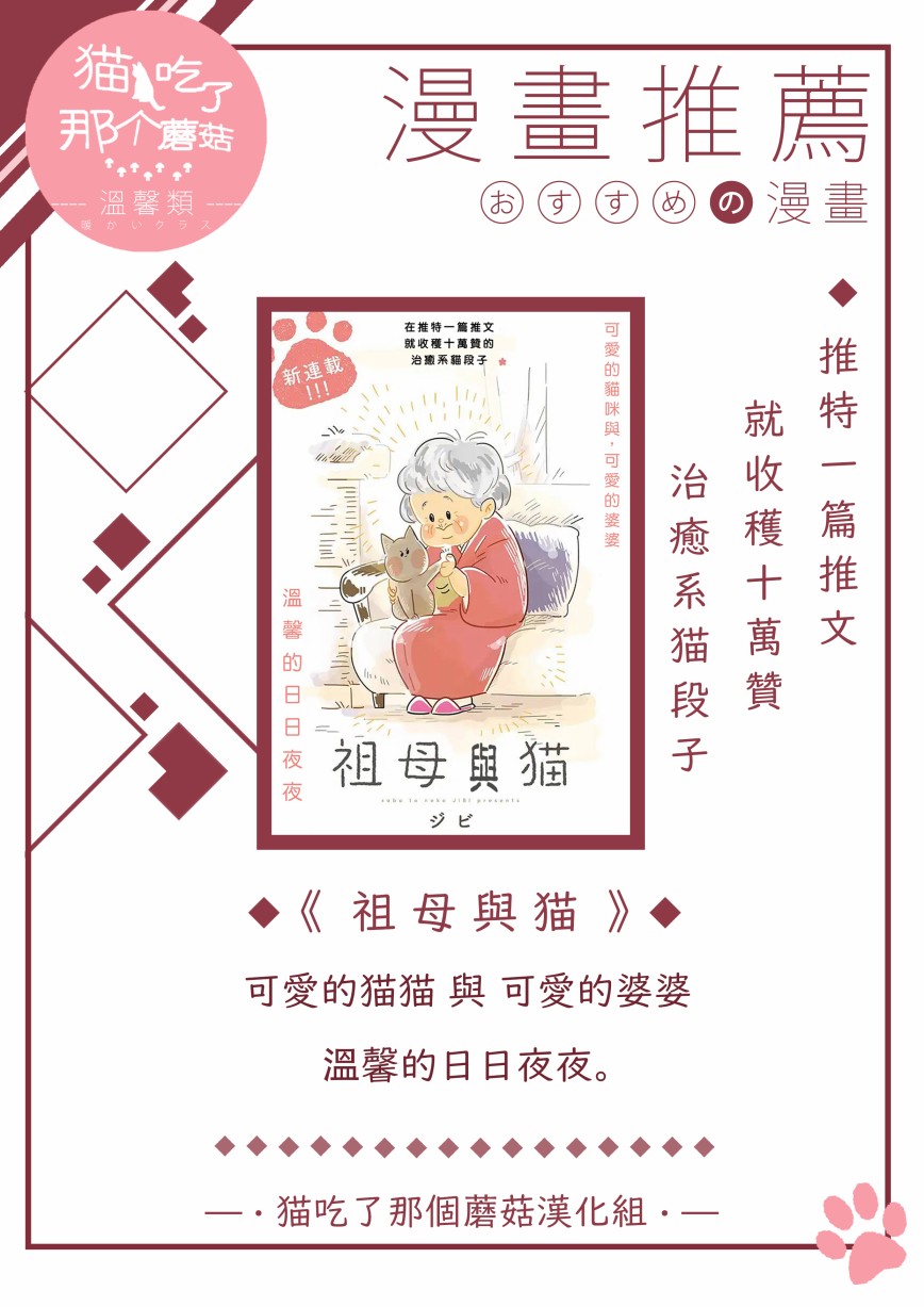 流浪猫的一生11话图