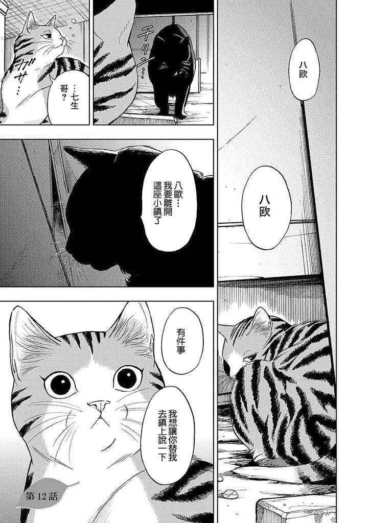 流浪猫的一生12话图