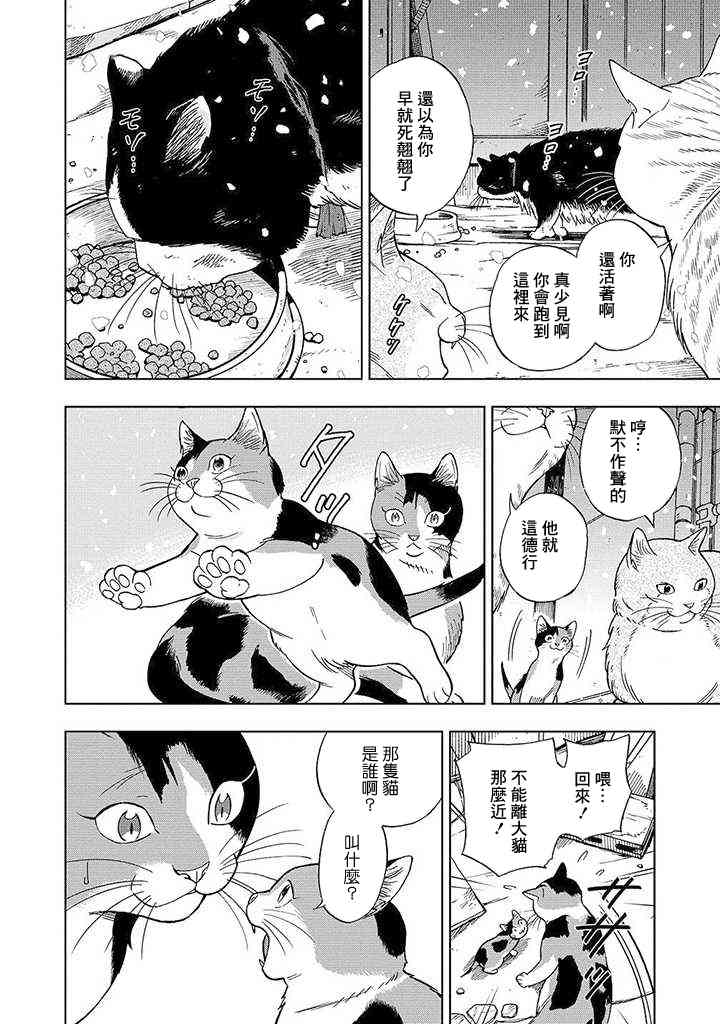 流浪猫的一生12话图