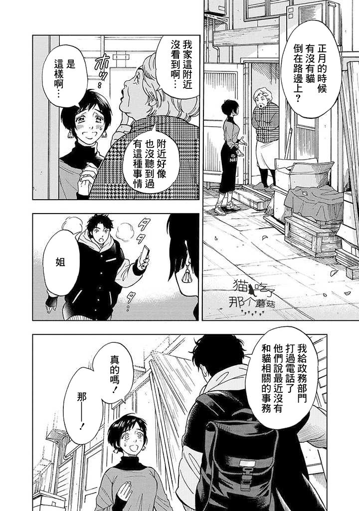 流浪猫的一生13话图