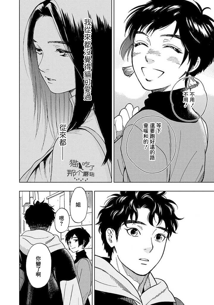 流浪猫的一生13话图