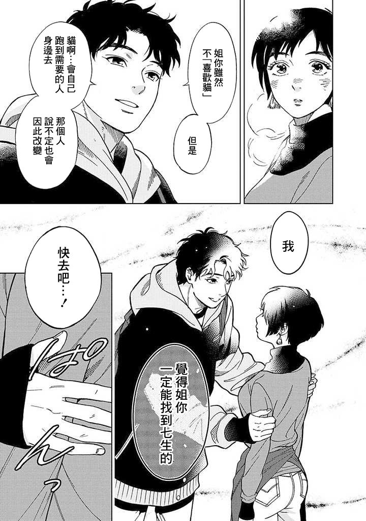 流浪猫的一生13话图