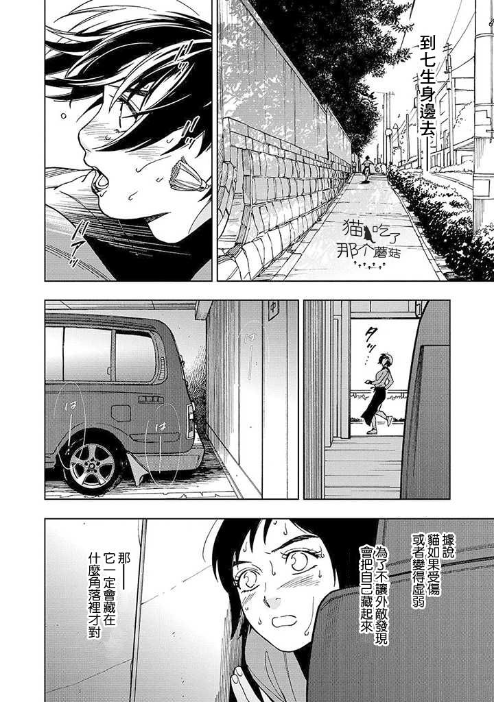 流浪猫的一生13话图