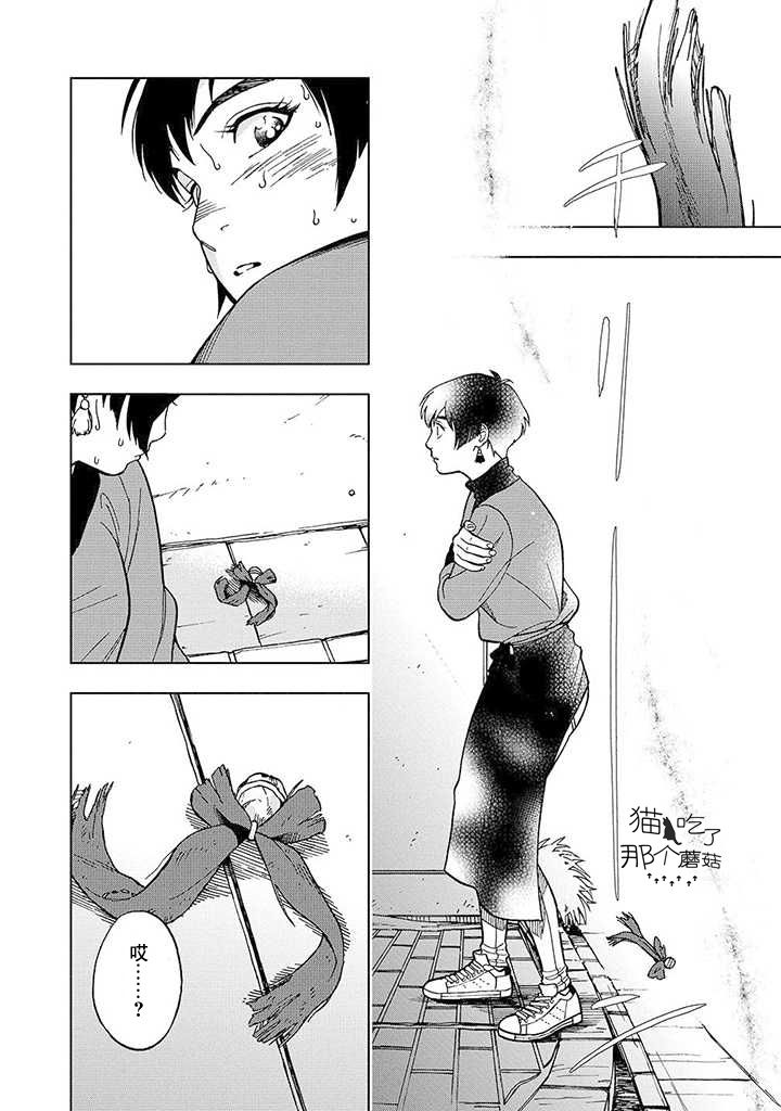 流浪猫的一生13话图