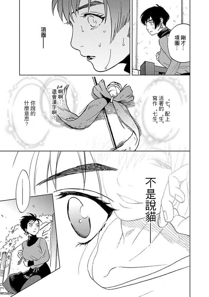 流浪猫的一生13话图