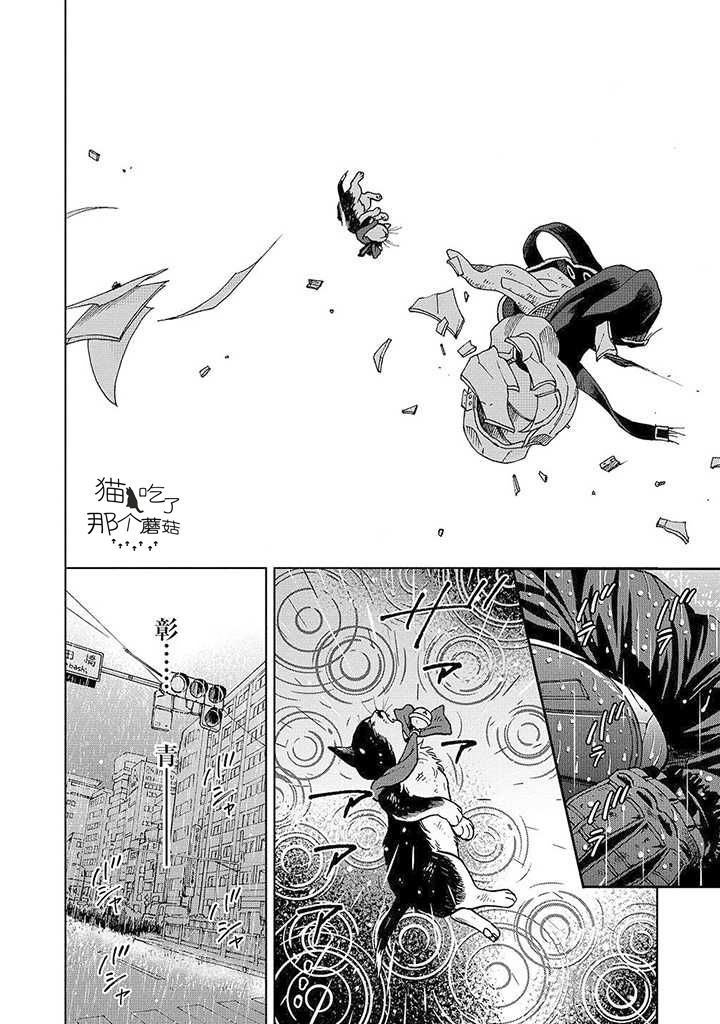 流浪猫的一生13话图