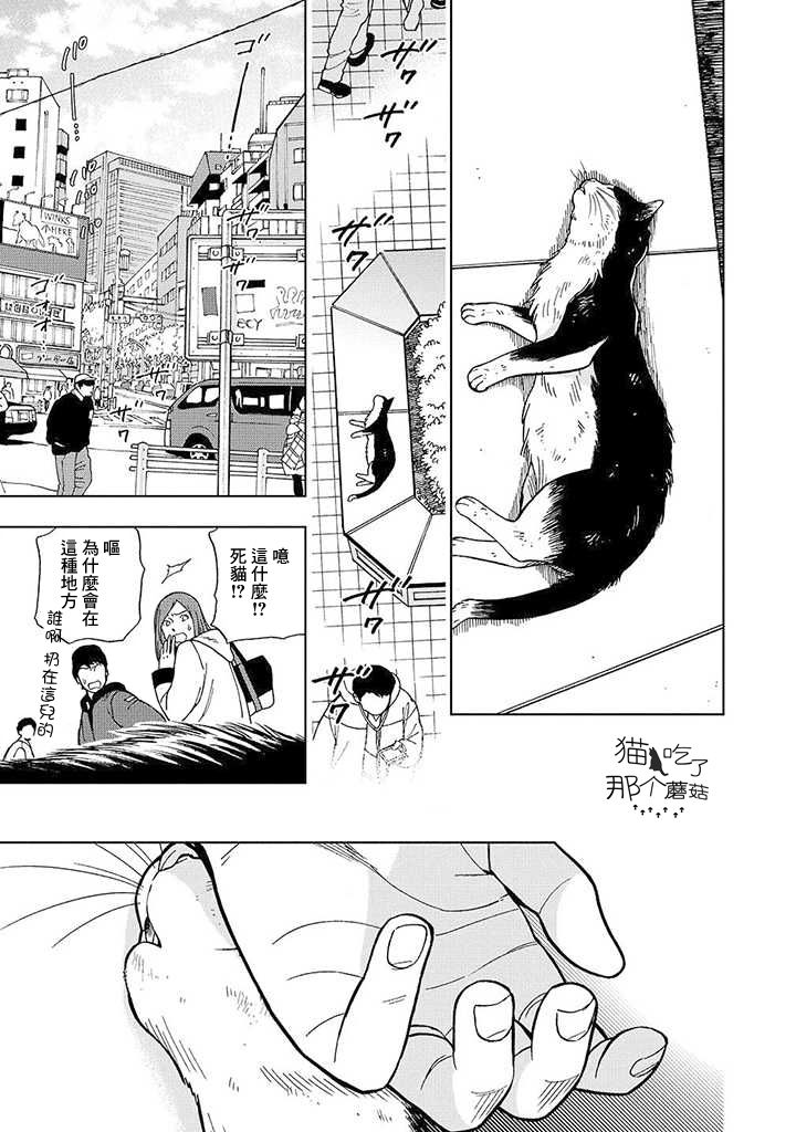 流浪猫的一生13话图