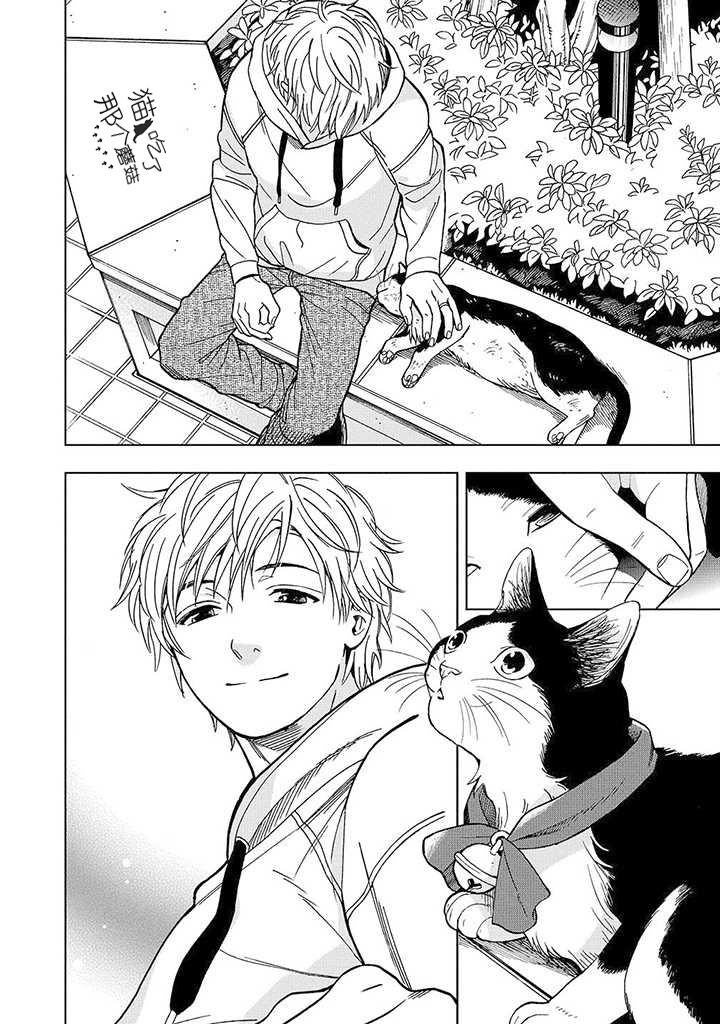 流浪猫的一生13话图