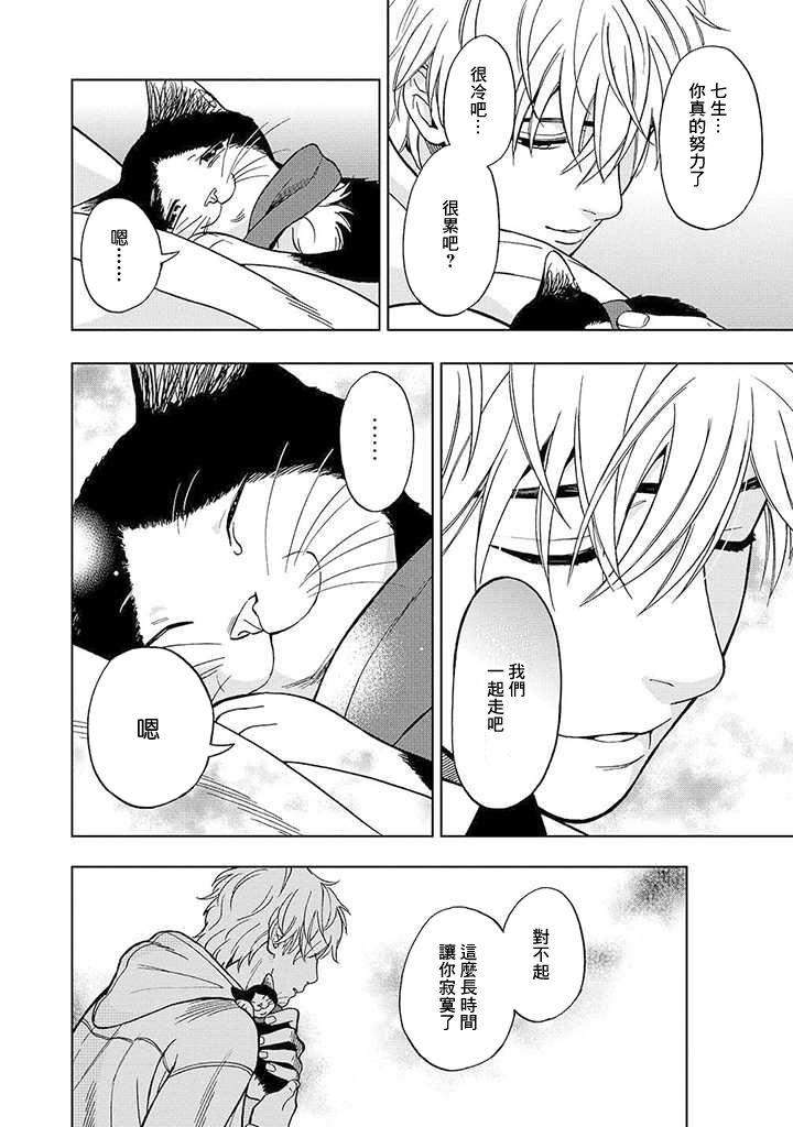 流浪猫的一生13话图