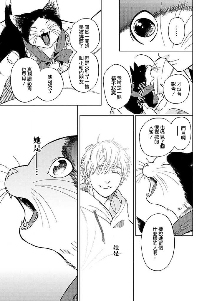 流浪猫的一生13话图