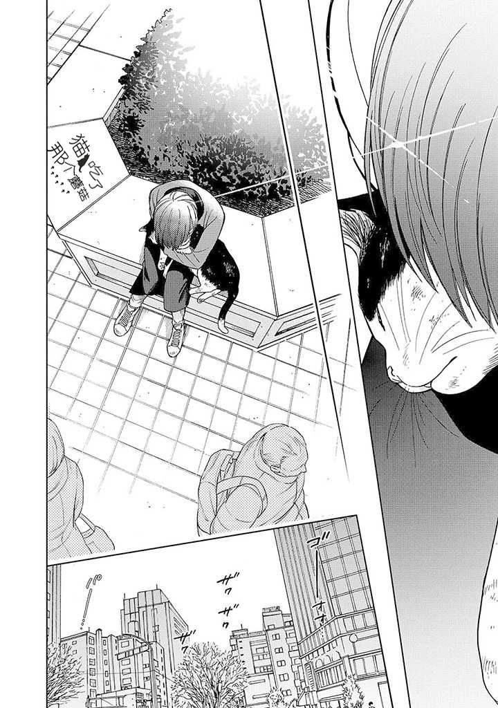 流浪猫的一生13话图