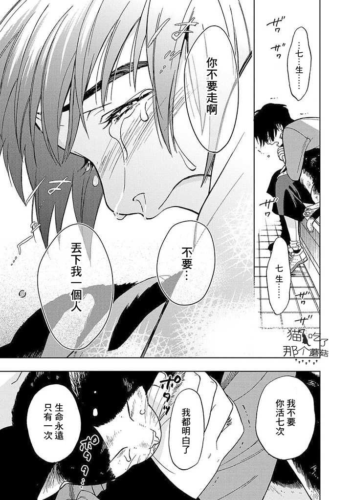 流浪猫的一生13话图