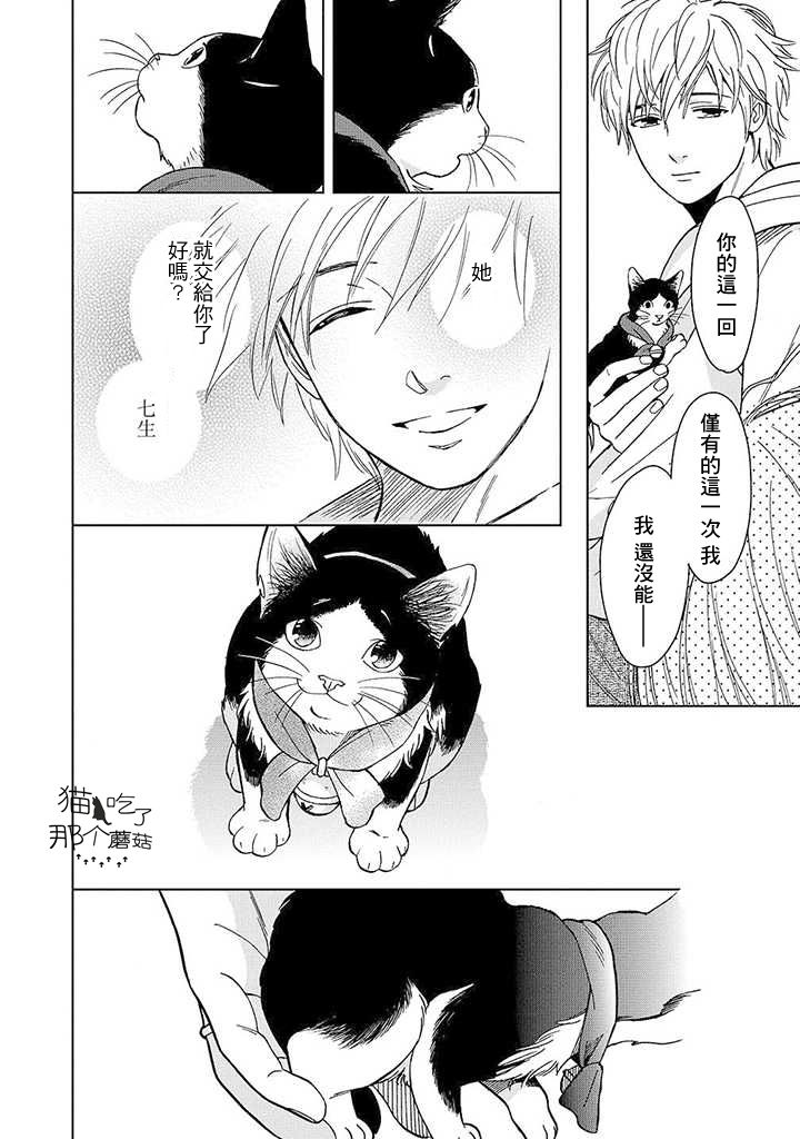 流浪猫的一生13话图