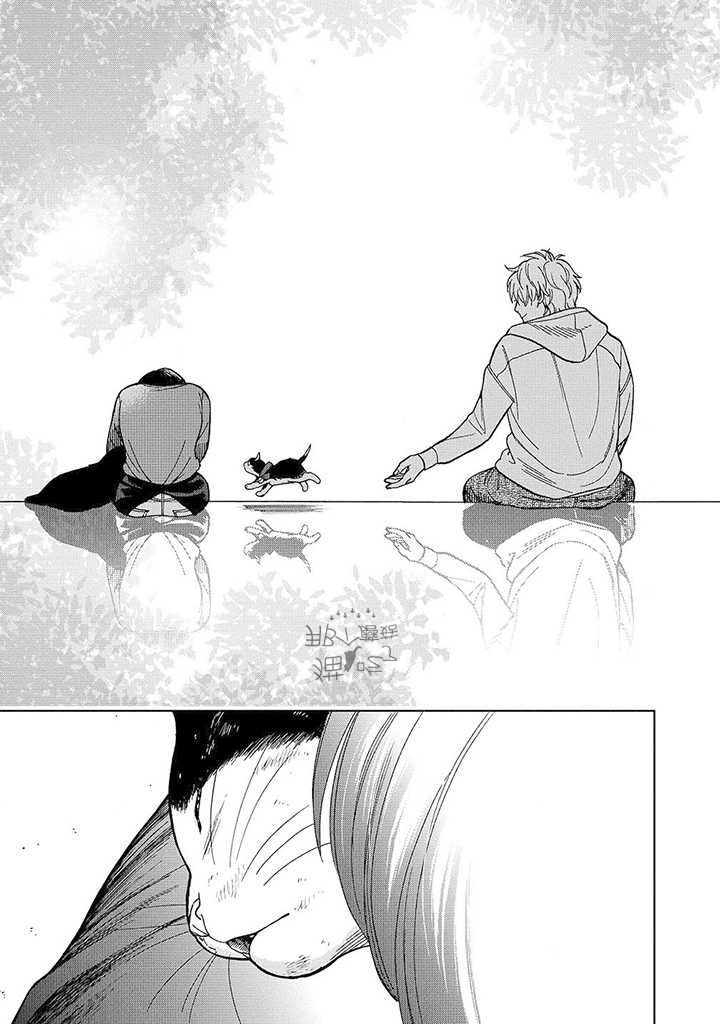 流浪猫的一生13话图