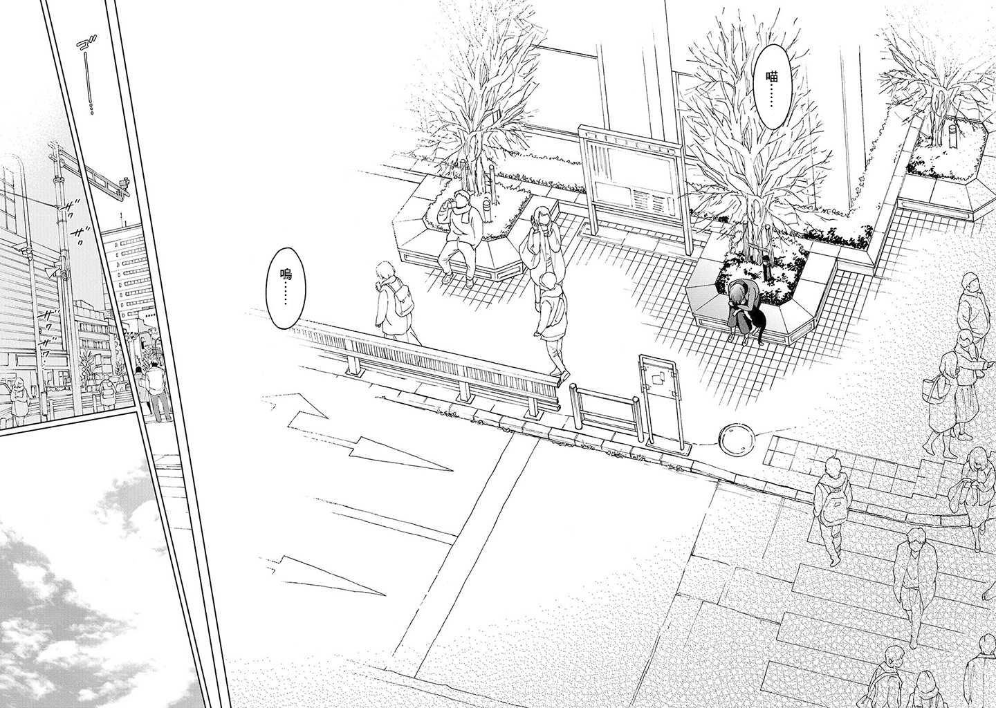 流浪猫的一生13话图