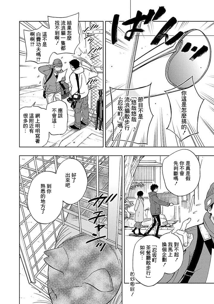 流浪猫的一生13话图