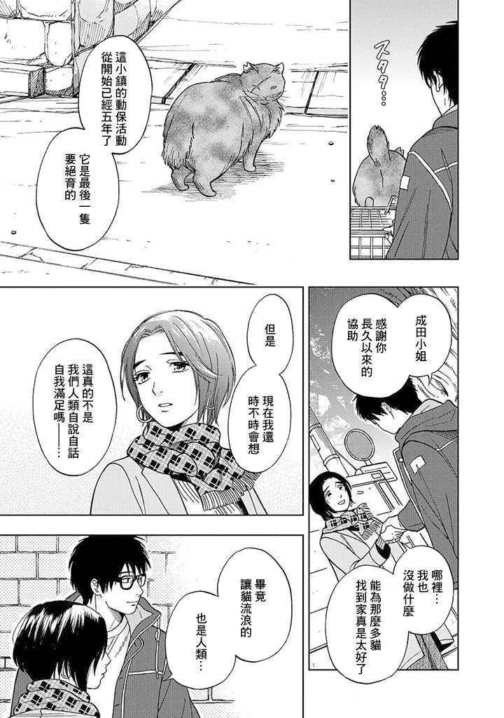 流浪猫的一生13话图