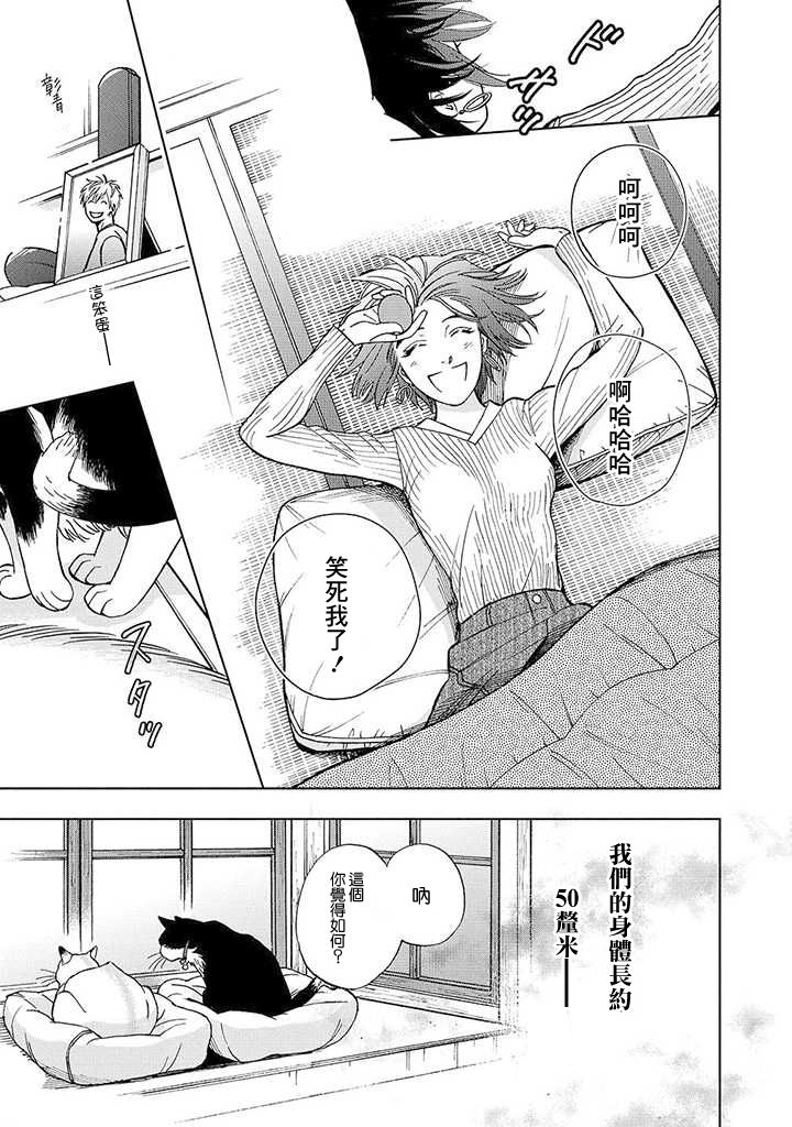 流浪猫的一生13话图