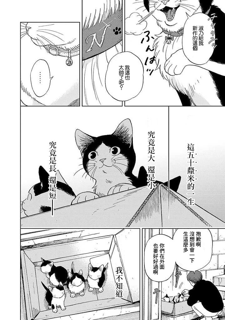 流浪猫的一生13话图