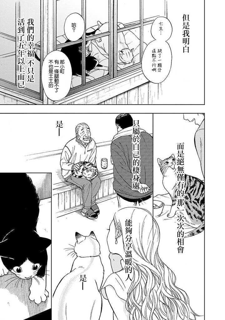 流浪猫的一生13话图