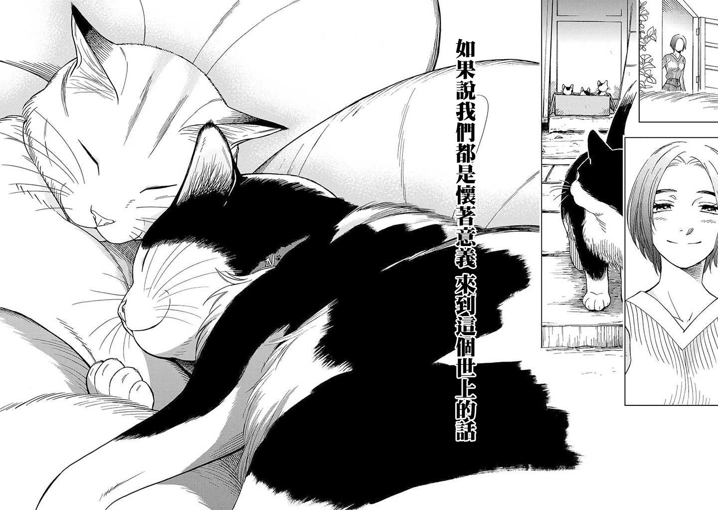 流浪猫的一生13话图