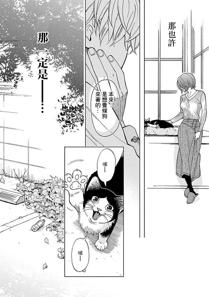 流浪猫的一生13话图