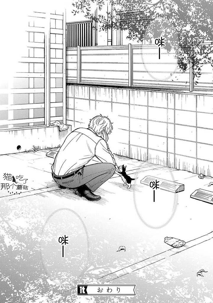 流浪猫的一生13话图