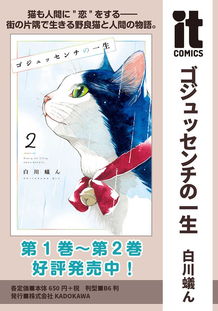 流浪猫的一生13话图