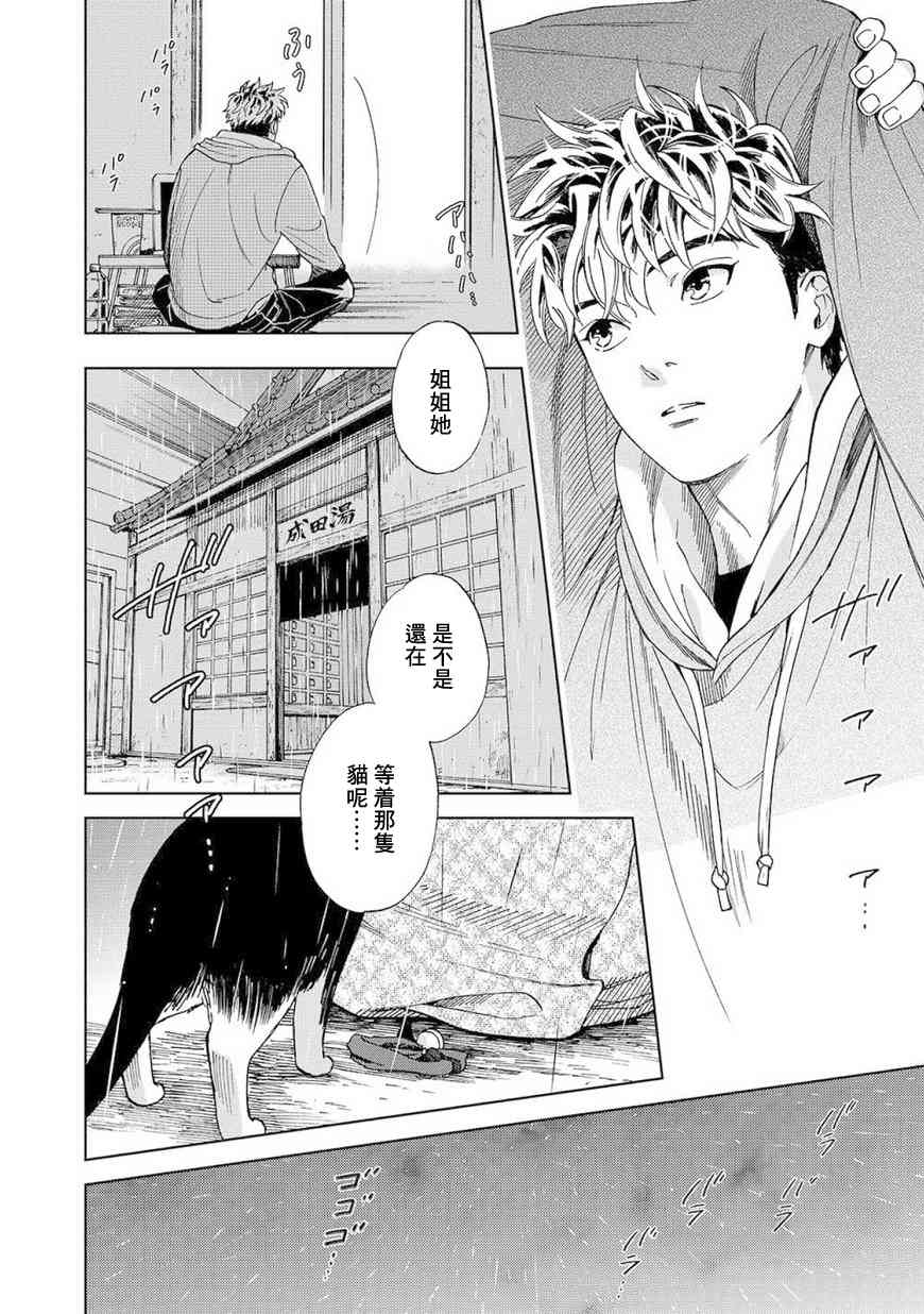 流浪猫的一生4话图