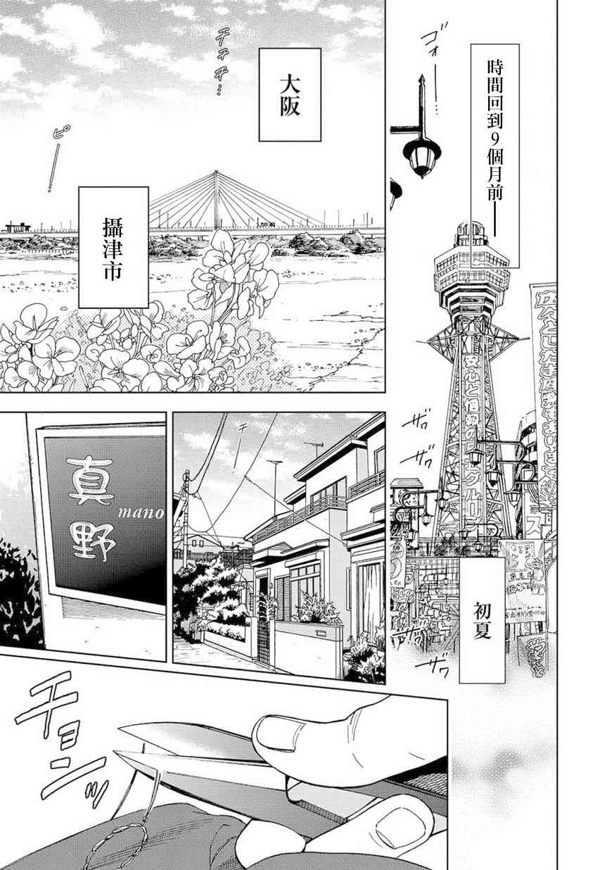 流浪猫的一生4话图