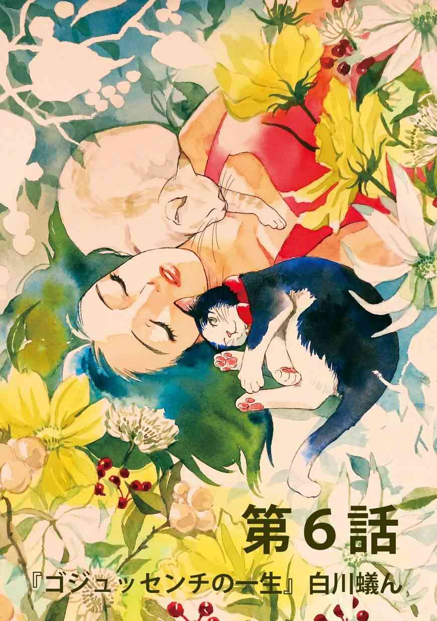 流浪猫的一生6话图